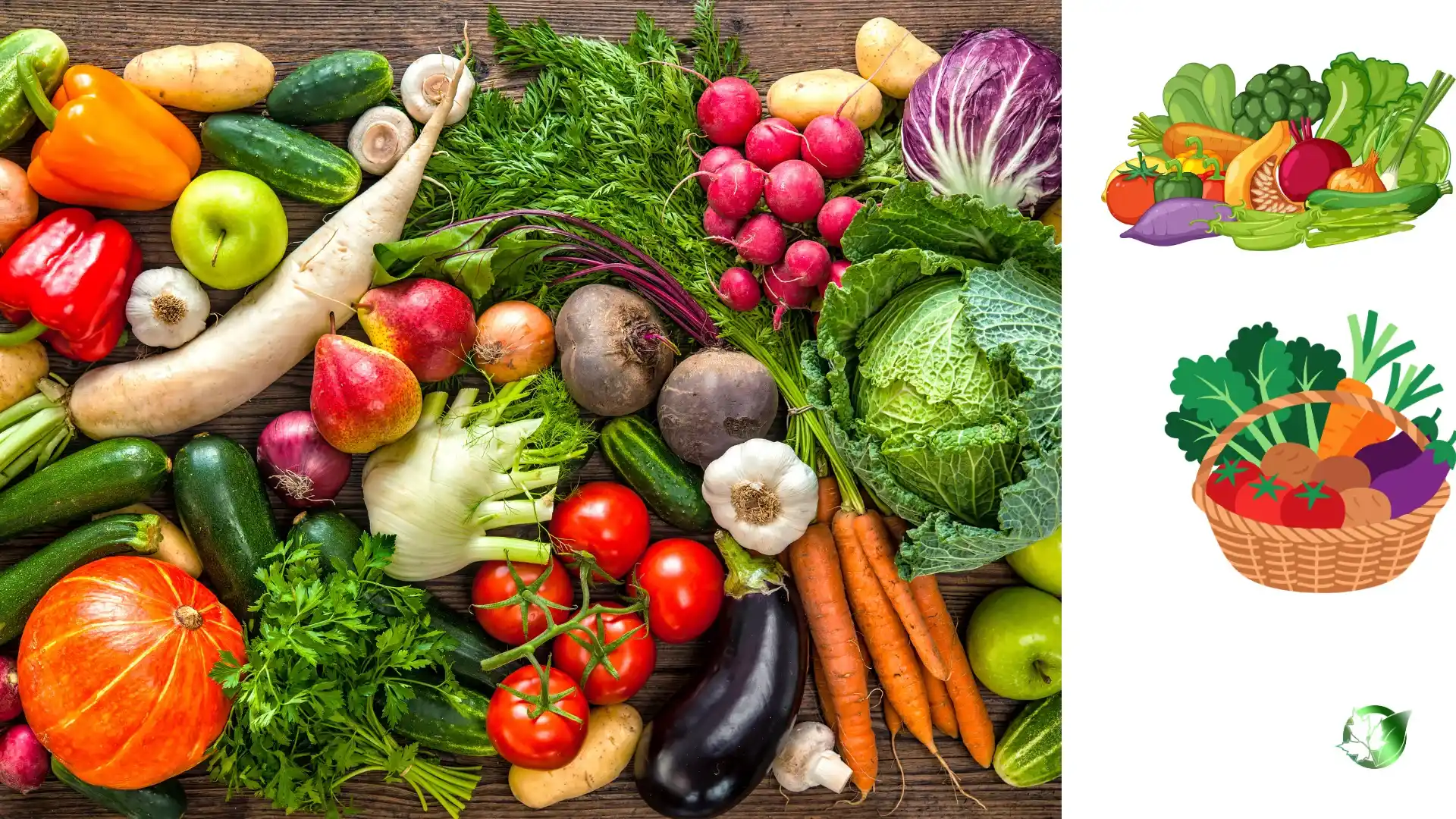 Commercial presentation of Fresh Vegetables for wholesale product evaluation and buyer review.